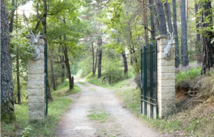 Romantic-Rêve-en-Provence